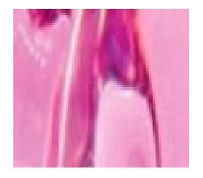 RiRi Perfume (Women) Type Body Oils RiRi Perfume (Women) Type Body Oils